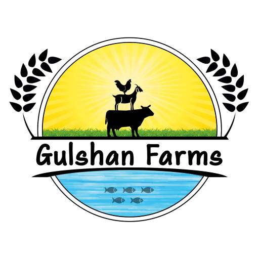 cropped-logo-2-1